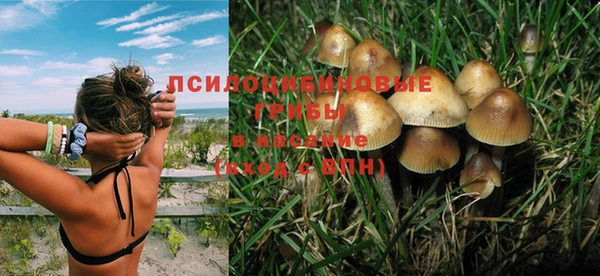 кокс Абдулино