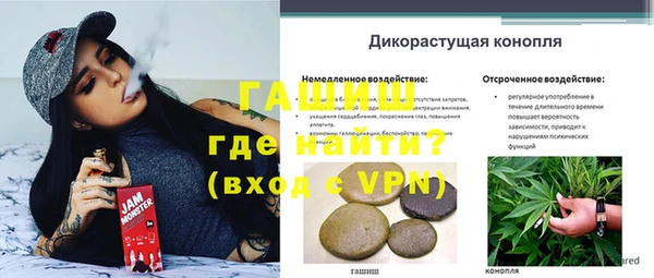 дмт Семилуки