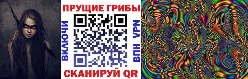 Галлюциногенные грибы GOLDEN TEACHER  Алагир 